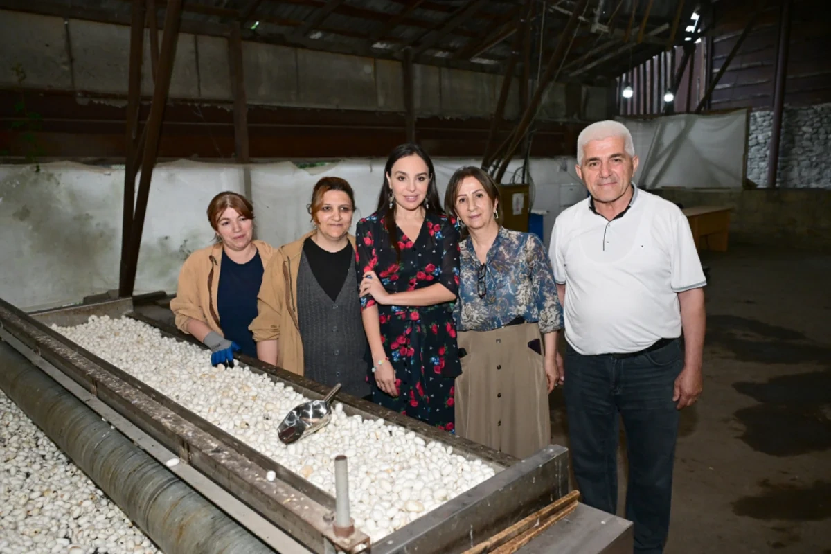 Leyla Əliyeva “Azəripək” ASC-nin fəaliyyəti ilə yaxından tanış oldu - FOTO