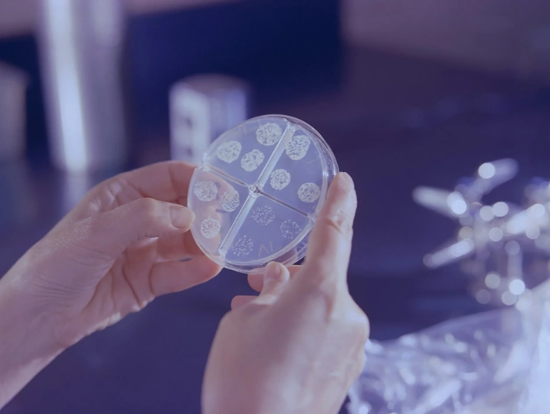 "Bakteriyaların müqavimət göstərə bilmədiyi yeni antibiotik kəşf edilib" - Alimlərdən açıqlama