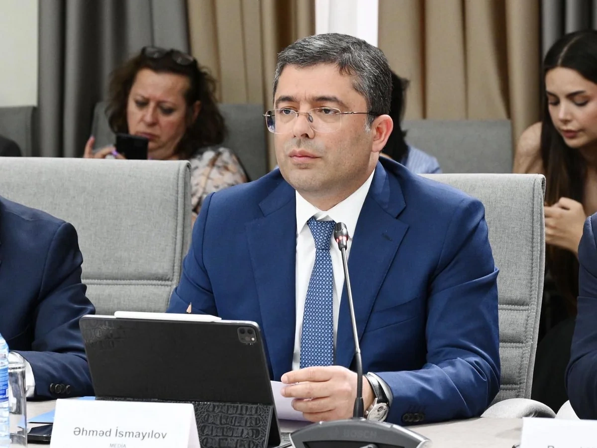 MEDİA-da uşaqların zərərli informasiyadan qorunmasına dair qanun layihəsi müzakirə olundu - FOTO