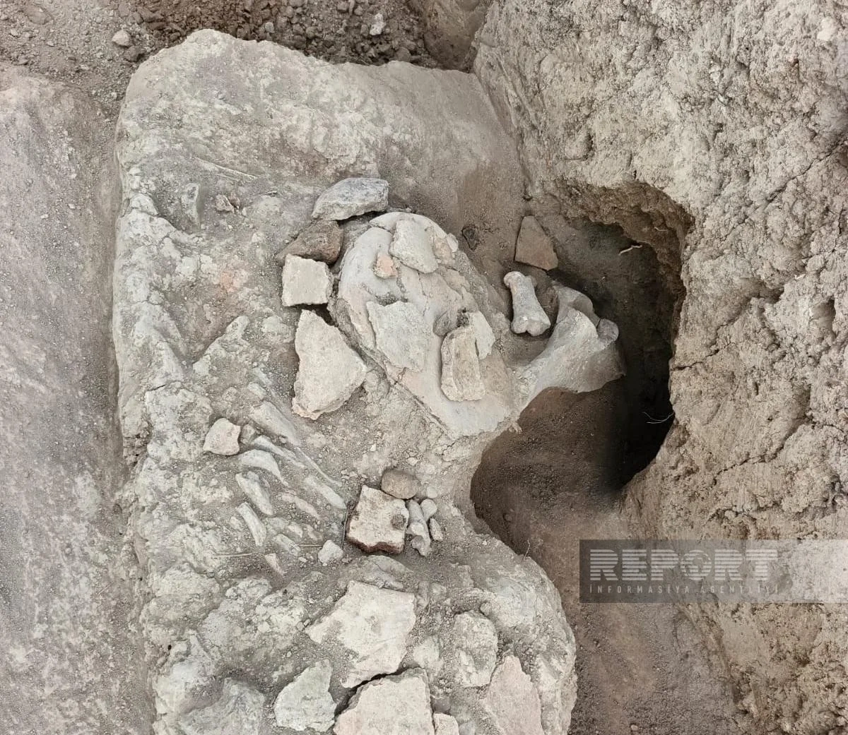 Cəlilabadda Cənubi Qafqaz üçün analoqu olmayan daş kürə aşkar edilib - FOTO