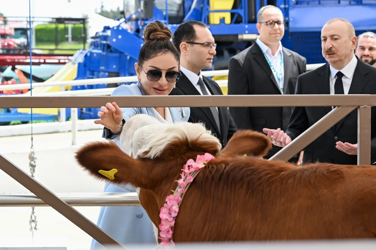 İlham Əliyev 19-cu "Caspian Agro Week" və 31-ci "InterFood Azerbaijan" sərgiləri ilə tanış olub - FOTO - YENİLƏNİB