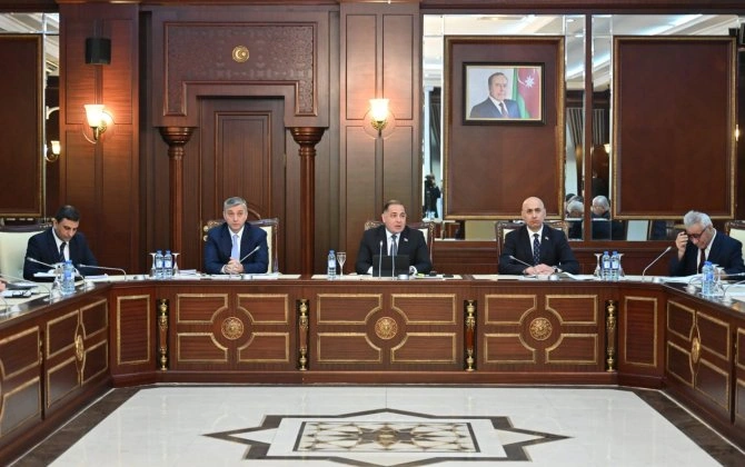 Milli Məclisin İqtisadi siyasət, sənaye və sahibkarlıq komitəsinin iclası keçirildi - FOTO
