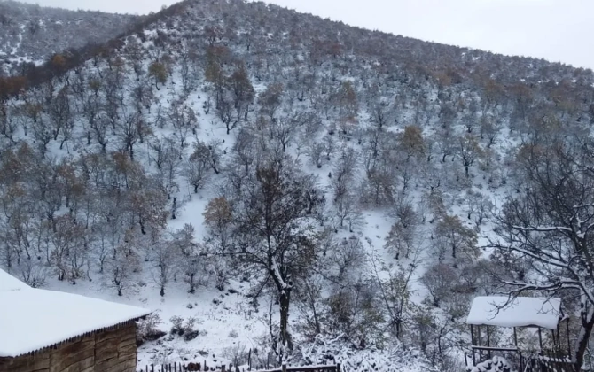 Qusara və Şahdağa qar yağır - FAKTİKİ HAVA