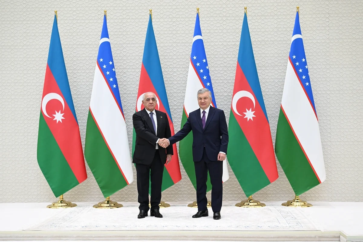 Şavkat Mirziyoyev Əli Əsədovu qəbul edib - FOTO