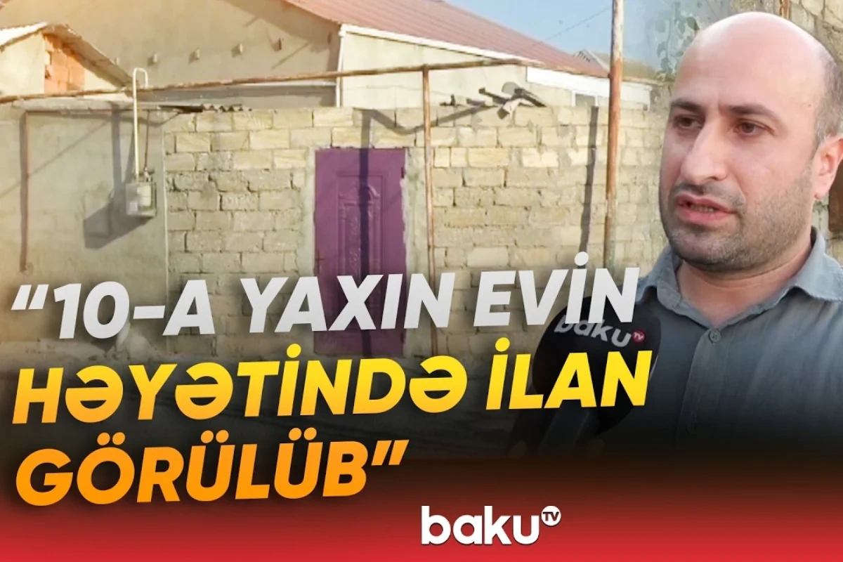 Həyətlərini qurbağalardan sonra ilanlar basan sakinlər təşvişdə - VİDEO