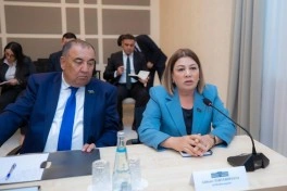 Naxçıvanda Ombudsman təsisatı ləğv edilib