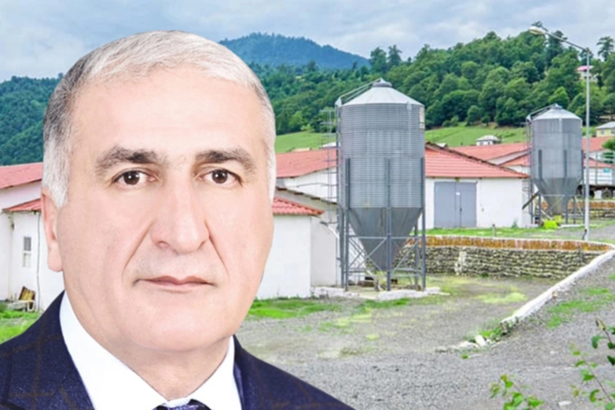İqbal Məmmədovun "Lerik Broyler"i fəaliyyətini dayandırdı - Sabiq deputatın biznes imperiyası çökür?