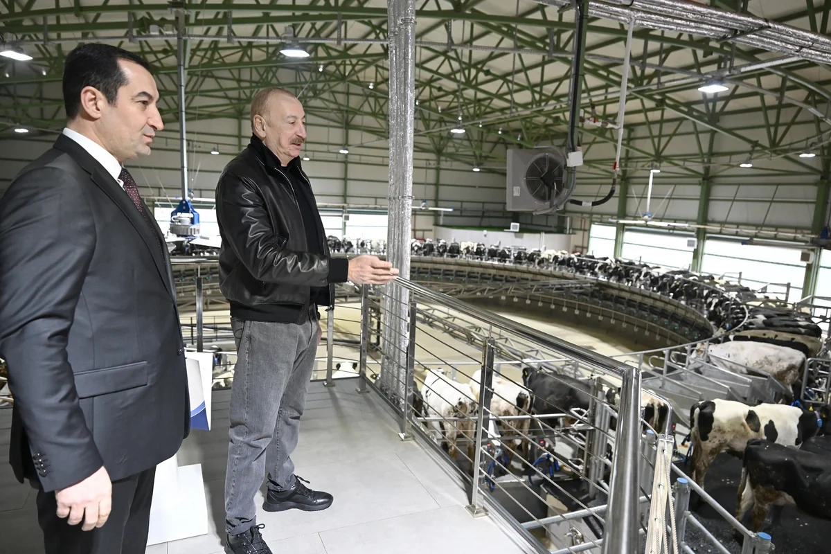 İlham Əliyev Şamaxıda "Şirvan Aqro" heyvandarlıq kompleksinin açılışında iştirak edib - FOTO