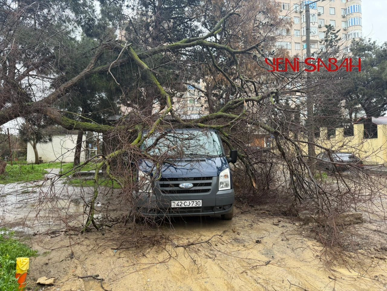 Bakıda ağac avtomobilin üstünə aşdı - FOTOLAR