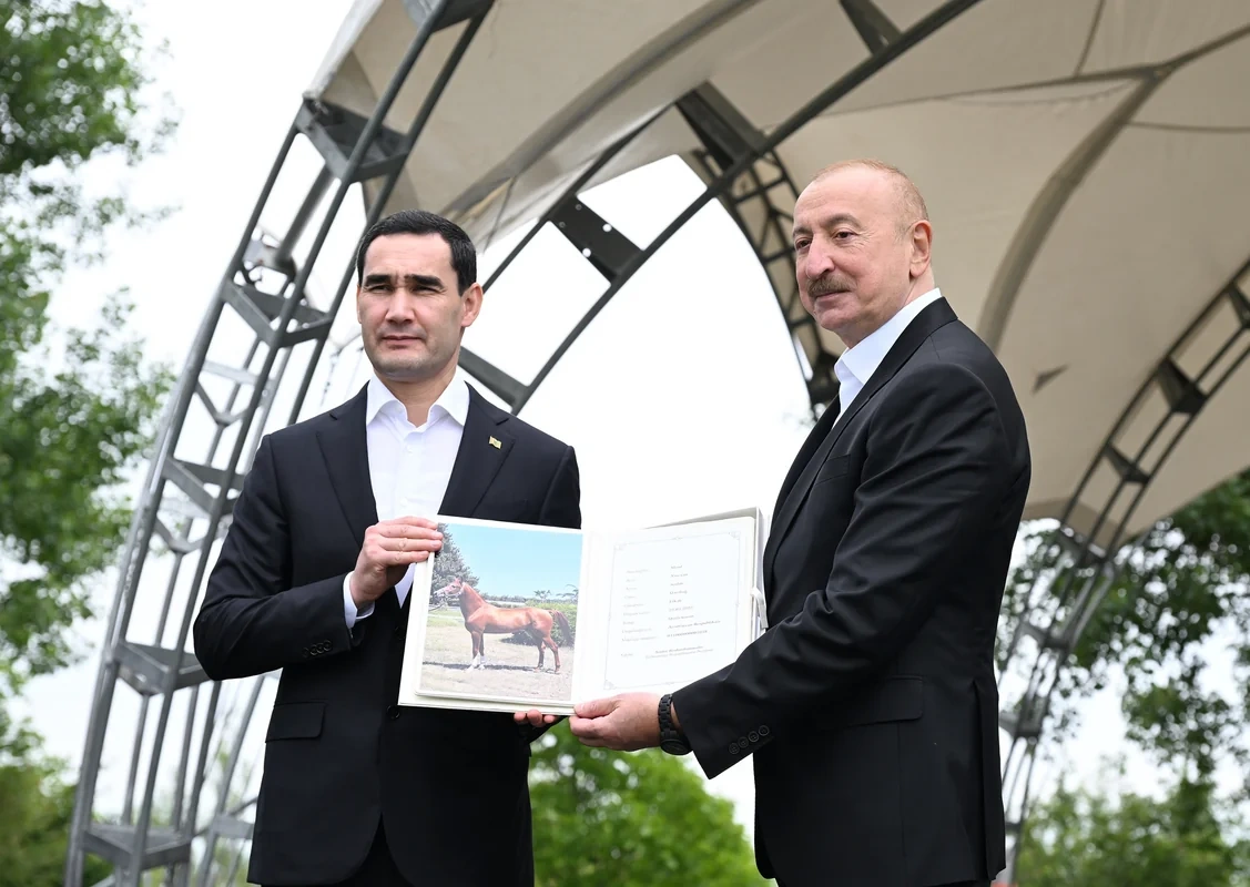 Türkmənistan prezidentinə Qarabağ atı hədiyyə edildi - FOTO
