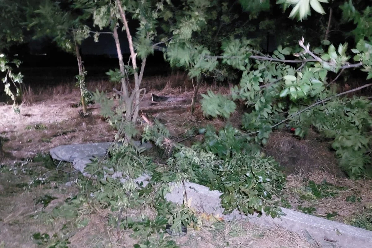 Masallıda ağır QƏZA: Ölənlər və yaralananlar var - FOTO