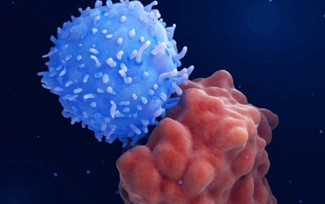 Xərçəngə qarşı dünyada bir ilk - Yeni peyvənd hazırlandı