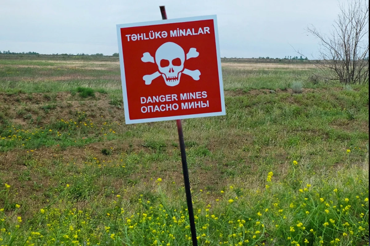 Ötən həftə 1581 hektar ərazi minalardan təmizlənib