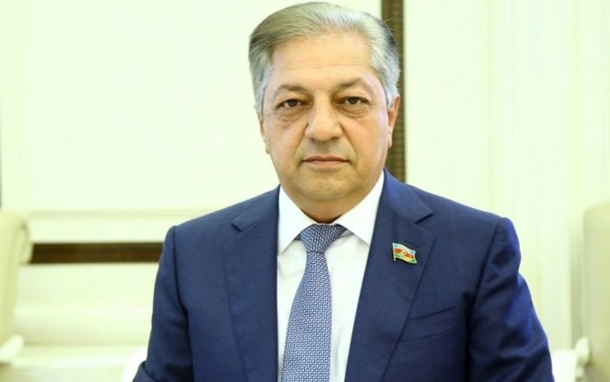 Cavanşir Feyziyev İranlı deputata cavab verdi: “Onun dövləti, özü xəritədə qalmaq uğrunda çarpışır”