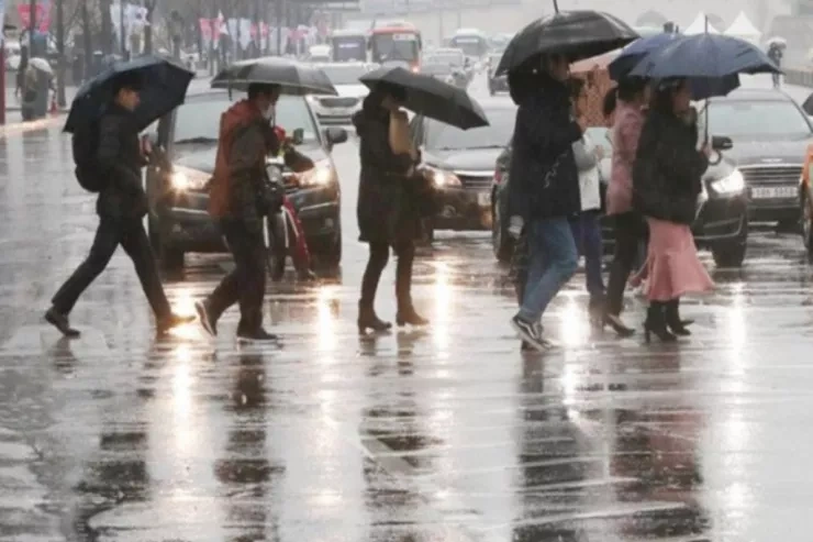 Paytaxta düşən yağıntı aylıq normadan dörd dəfə çoxdur - FAKTİKİ HAVA