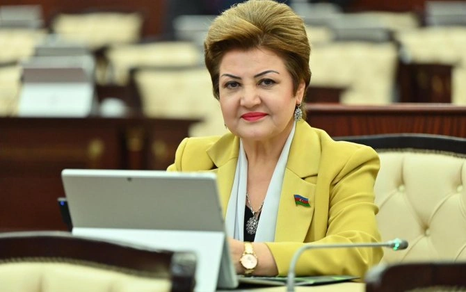 “Prezidentin 24 iyun tarixli müraciəti islamofobiyaya qarşı mübarizəyə çağırışdır”