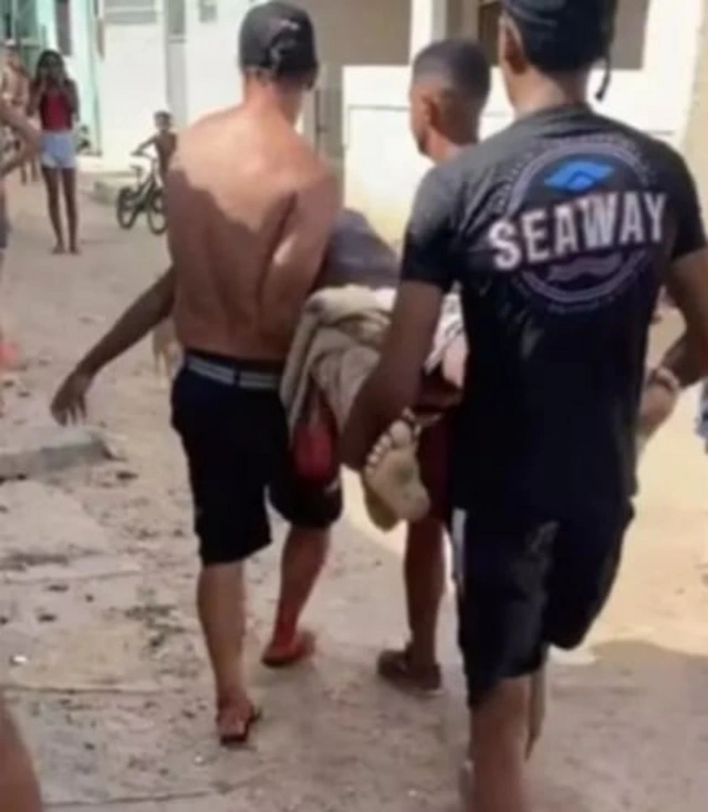 Braziliyada köpəkbalığı yeniyetməni parçaladı
