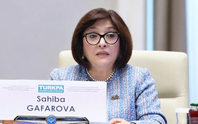 Sahibə Qafarova TÜRKPA-nı gənclər siyasətini gücləndirməyə çağırıb