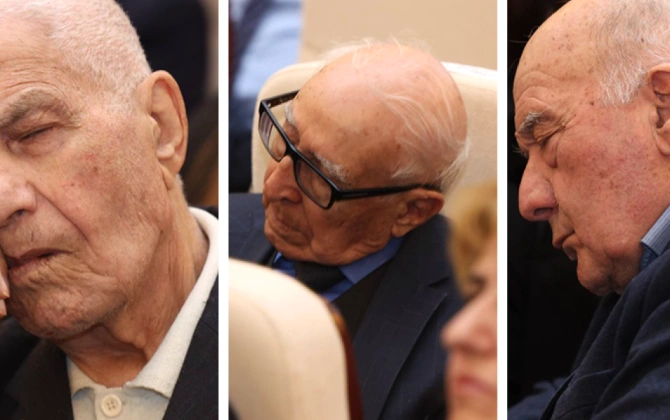 "Faciə ondadır ki, biz 30 illlik elmi  süstlüyü yox, bir neçə saniyəlik yuxunu müzakirə edirik...”