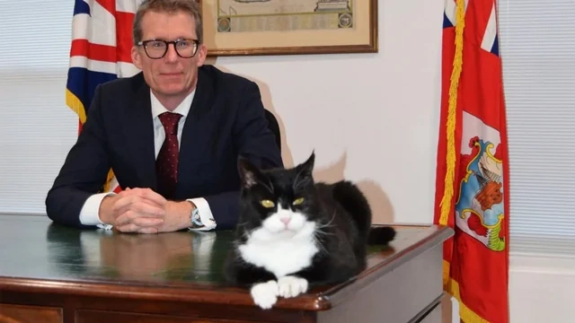 Britaniya XİN-in məşhur diplomat pişiyi ölüb