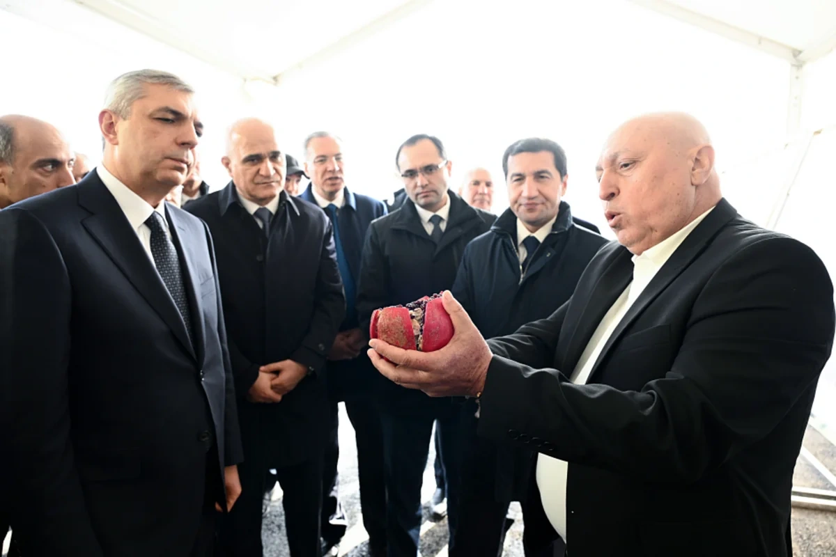Xocavənd rayonunda bağçılıq təsərrüfatına baxış keçirilib - FOTO