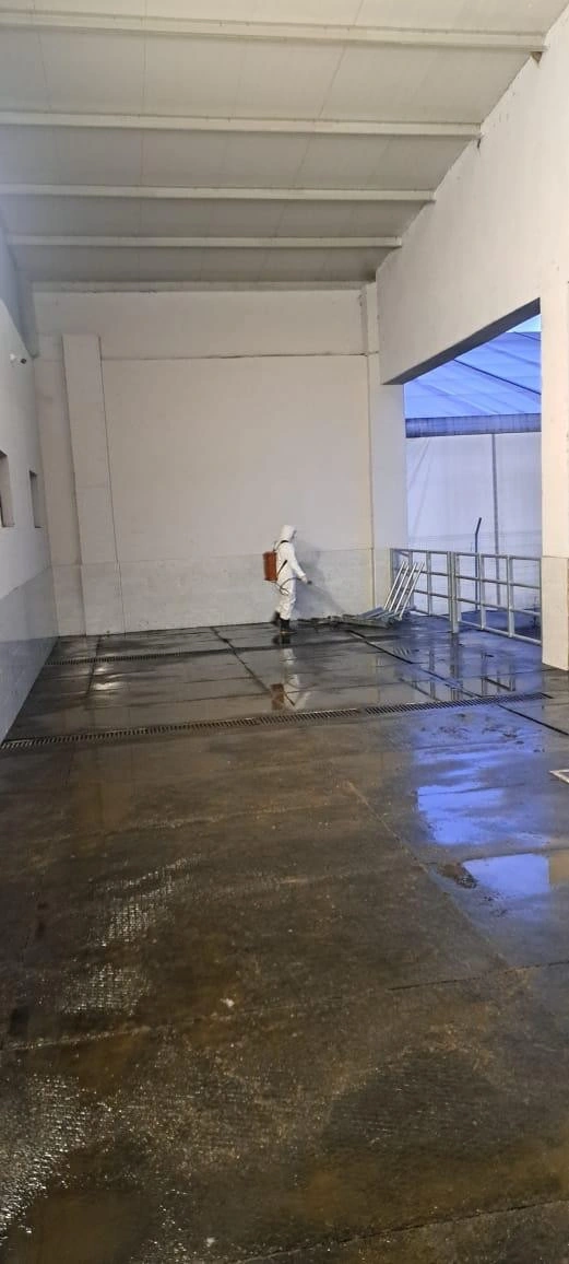 AQTA bu heyvanların ölkəyə idxalının qarşısını aldı - FOTOLAR