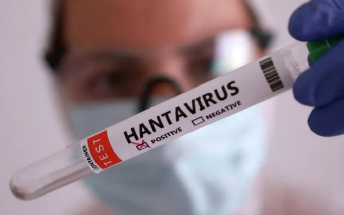 Təşvişə qapılmadan sadə gigiyena qaydalarına əməl etmək lazımdır - Həkim hantavirusla bağlı iddialara aydınlıq gətirdi