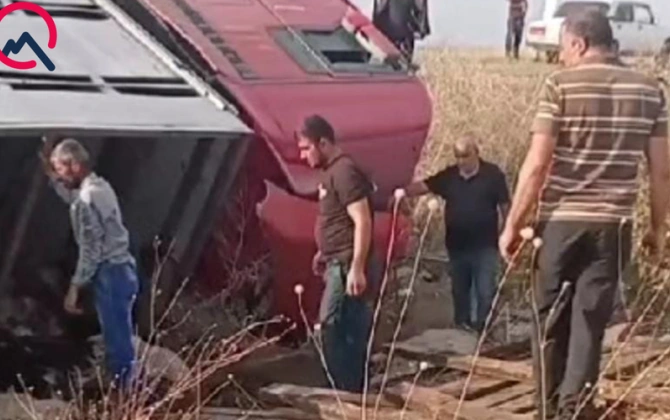 Sürücü yuxulayıb maşını aşırdı - Heyvanlar tələf oldu