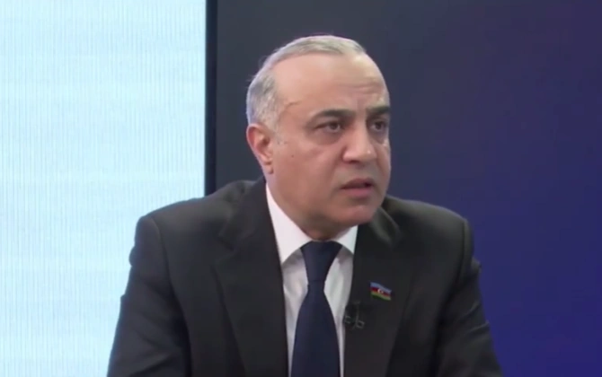 Azay Quliyev: "Azərbaycan bölgədə sülh istiqamətində ardıcıl mövqe göstərir" - VİDEO