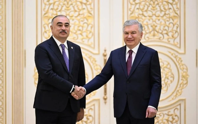 Rəşad Məmmədov etimadnaməsini Şavkat Mirziyoyevə təqdim etdi - FOTO