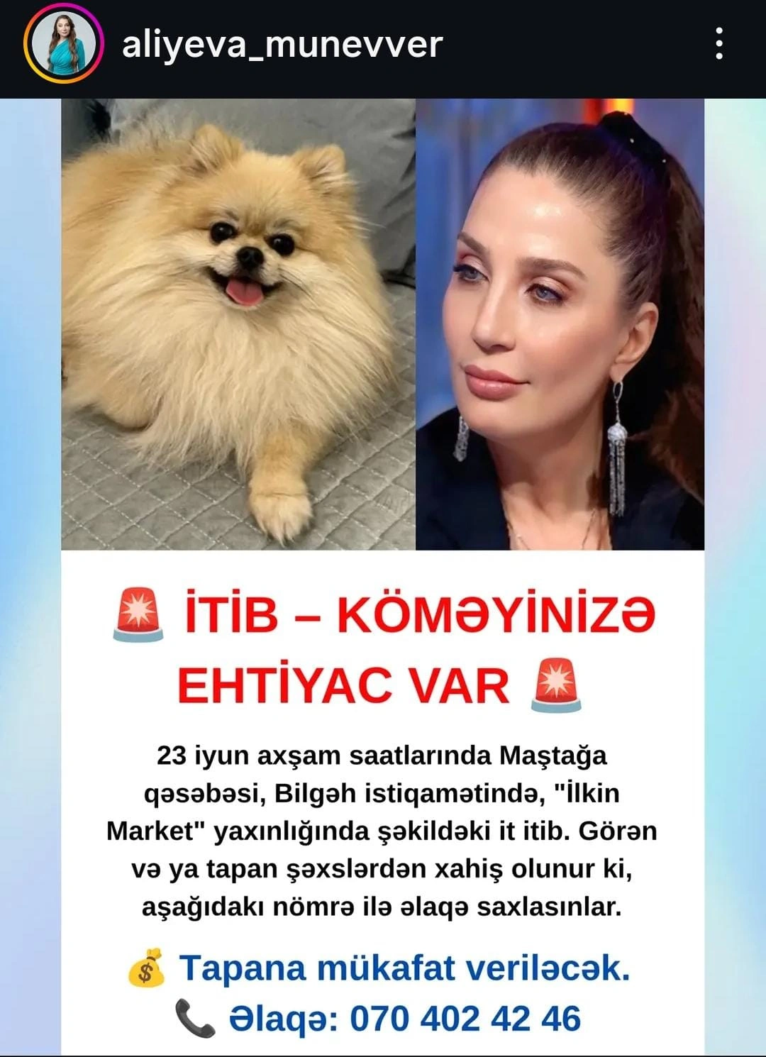 İtinin itməsində ustanı günahlandırdı: “Qapını açıq qoyub, iti Maştağada görüblər, hələ də axtarıram” - FOTO