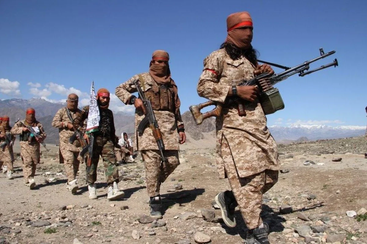 Avropa Komissiyası "Taliban"la danışıqlar aparılacağını təsdiqlədi