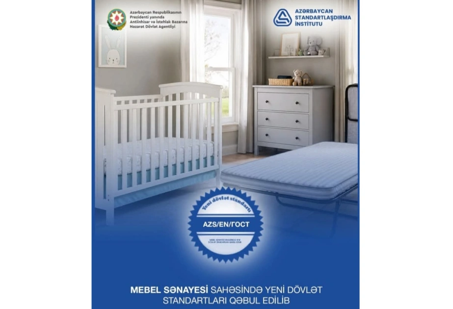 Mebel sənayesi sahəsində yeni dövlət standartları qəbul edilib - FOTO