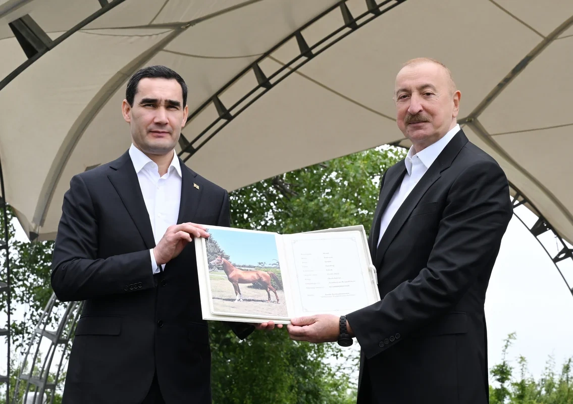 Türkmənistan prezidentinə Qarabağ atı hədiyyə edildi - FOTO