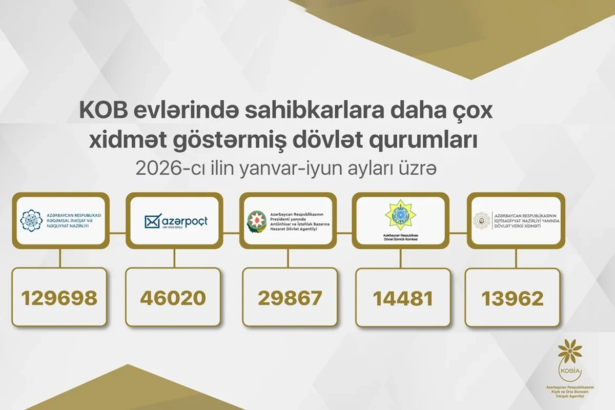 Sahibkarlar hansı xidmətlər üçün KOB evlərinə müraciət ediblər?