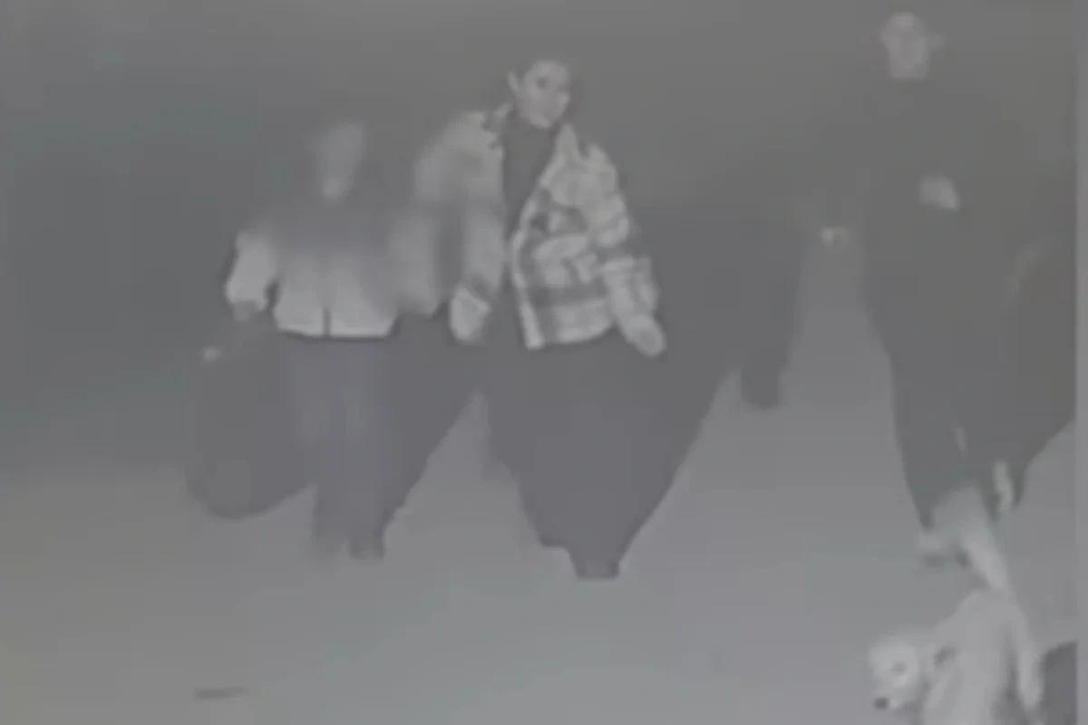 "Kameralara baxanda dəhşətə gəldik" - Bakıda uşağını küçəyə atan ana axtarılır - VİDEO