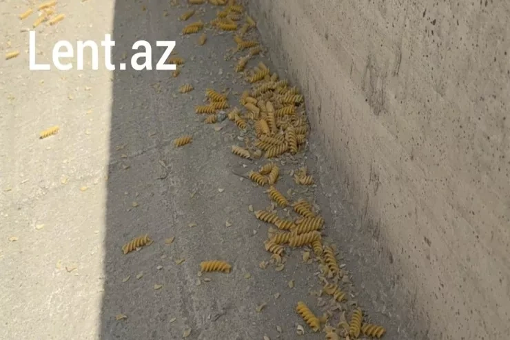 Ucarda yük maşını aşdı, makaronlar yola dağıldı