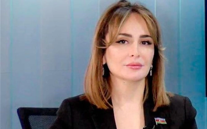 "Konstitusiya dəyişikliyi bəyanat səviyyəsində qalmamalıdır" – Deputat