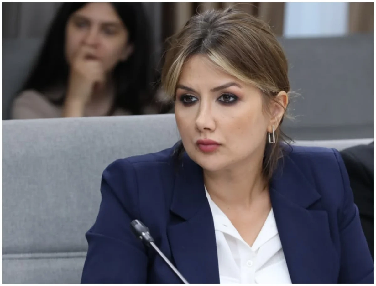Azərbaycanın irəli sürdüyü sülh gündəliyi yeni regional düzənin formalaşdırılmasına hesablanıb - RƏY