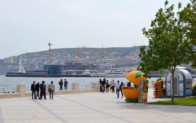 Bakıda da peyda olmağa başlayır — Qarşınıza çıxsa, dərhal uzaqlaşın!