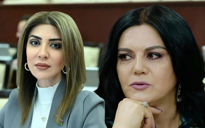 “Uşaqpulu verilsə ailələr 3-dən çox uşaq dünyaya gətirər, imkansızlıqdan istəmirlər”