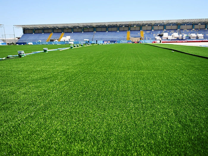 Bayıl stadionunda son vəziyyət - FOTO