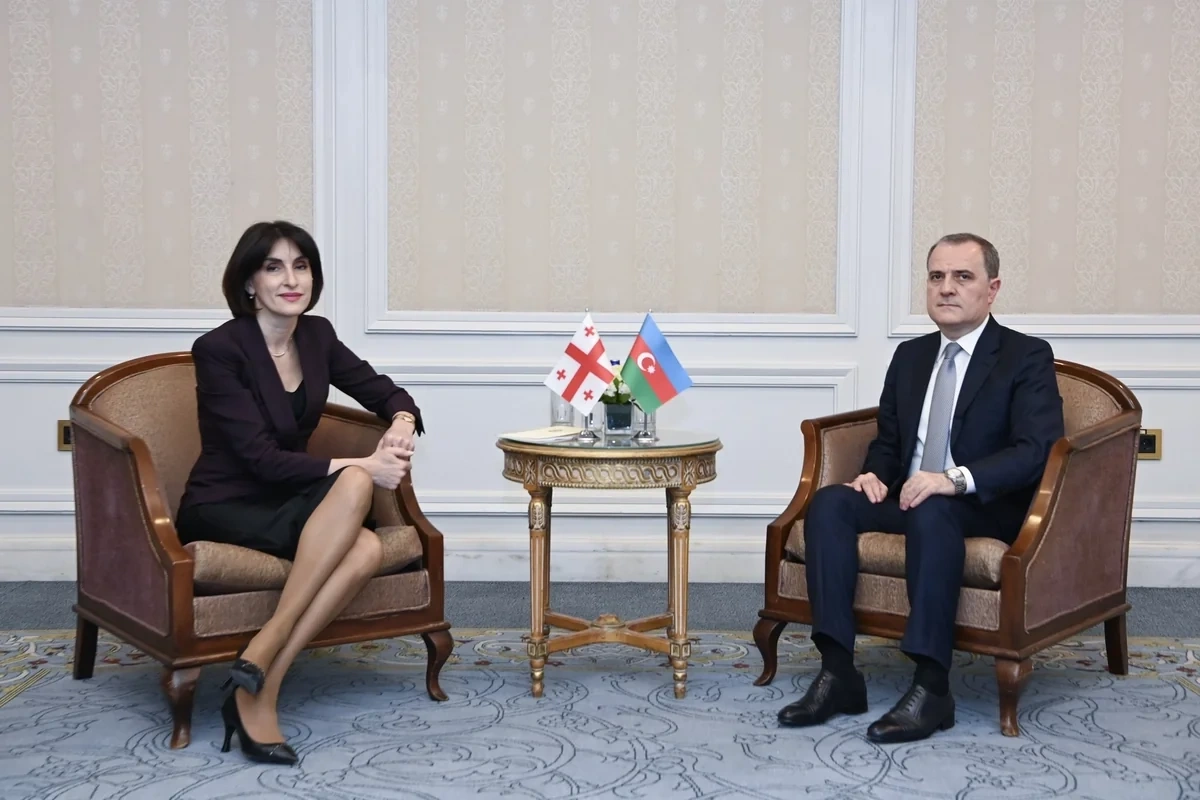 Azərbaycan və Gürcüstan XİN başçıları Cənubi Qafqazın əhəmiyyətini müzakirə ediblər