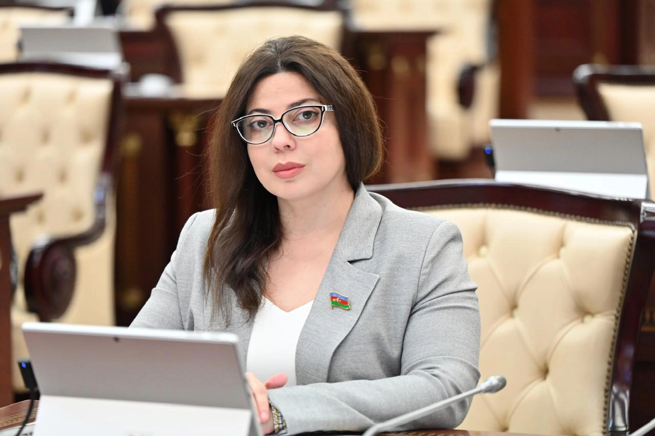 "Regional təhlükəsizlik Azərbaycan–Avropa İttifaqı əməkdaşlığının mühüm komponentidir"