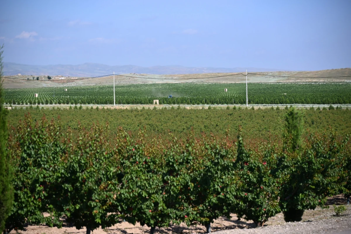 Əlaqələndirmə Qərargahının üzvlərinin Ağdərə və Xocalı rayonlarına səfəri başlayıb - FOTO