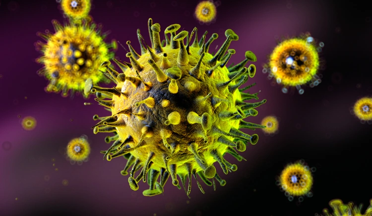 Tənəffüs yollarının virus infeksiyalarına qarşı nə etməli? - Professordan məsləhətlər- MÜSAHİBƏ