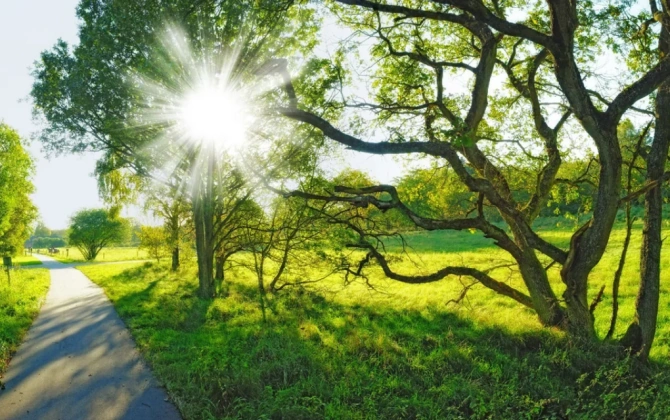 Sabah Azərbaycanda 33 dərəcə isti olacaq