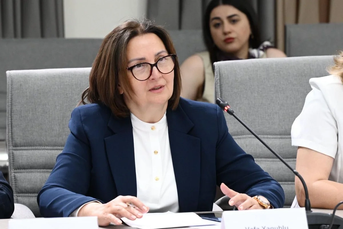 MEDİA-da uşaqların zərərli informasiyadan qorunmasına dair qanun layihəsi müzakirə olundu - FOTO