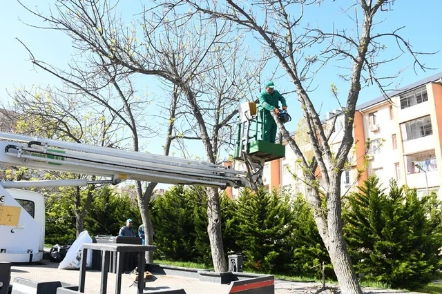 Bakının 556 küçəsi yuyuldu - FOTO