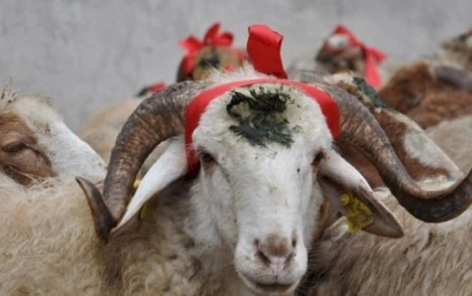 Qurban payını bu şəxslərə vermək olmaz - XƏBƏRDARLIQ!